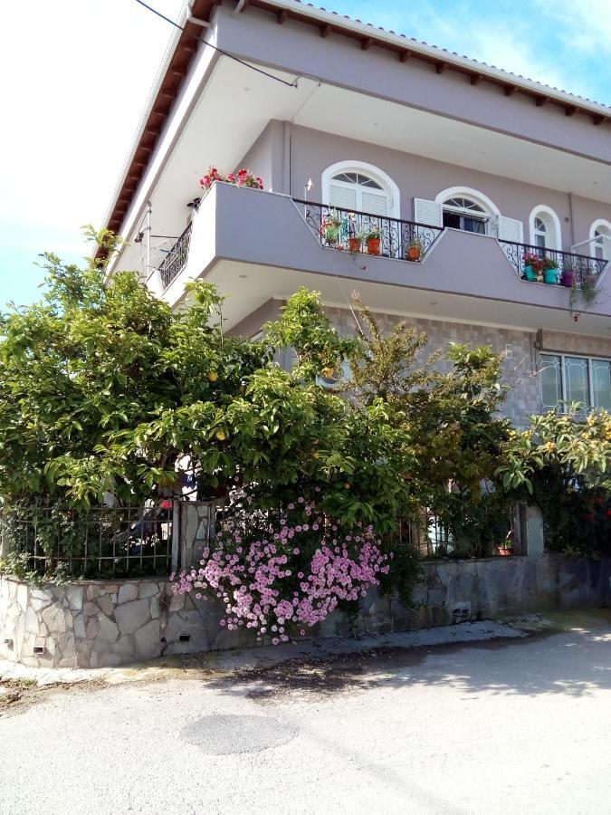 Vonitsa Loft Apartment 1 Εξωτερικό φωτογραφία